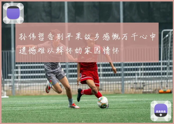 孙伟哲告别平果故乡感慨万千心中遗憾难以释怀的家园情怀