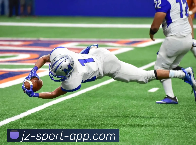 九州体育平台生态图